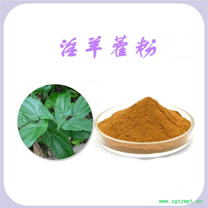 淫羊藿浓缩粉 水溶 可定制  淫羊藿提取物厂家 淫羊藿双甙图3