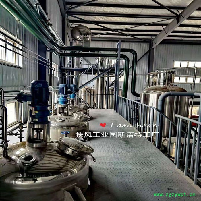 斯诺特 白花蛇舌草速溶粉 白花蛇舌草浓缩粉 生产厂家图4