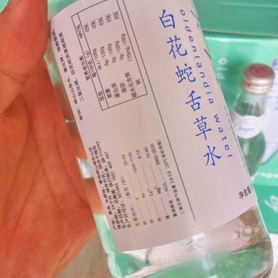 崂山白花蛇舌草水