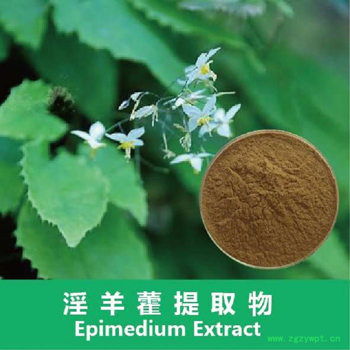 尖峰 淫羊藿提取物 淫羊藿提取物销售图2