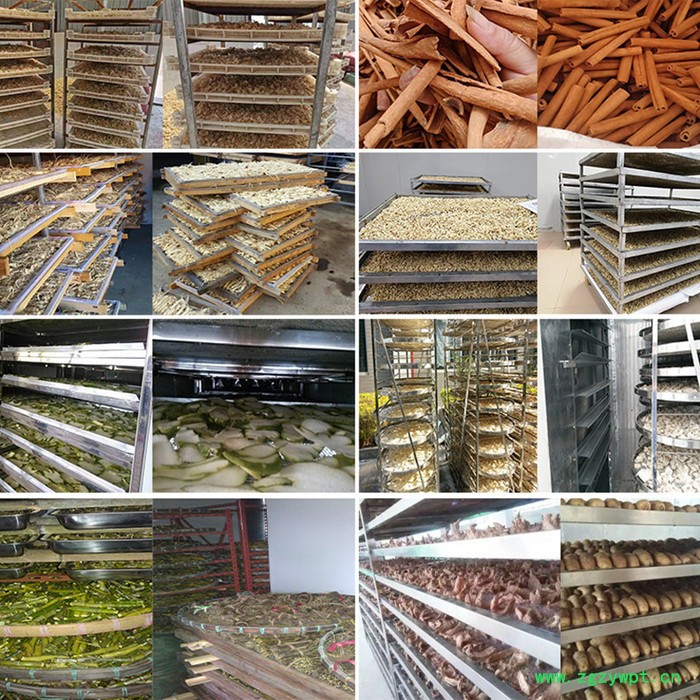 全航QH-KRFH-1284**中药材烘干机中药材干燥设备售后保障 龙葵烘干机图3