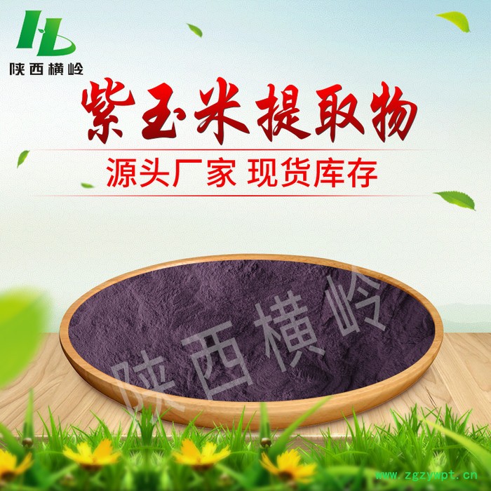 紫玉米提取物 30:1 紫玉米花青素 多种规格 紫玉米浓缩粉 横岭供应图4