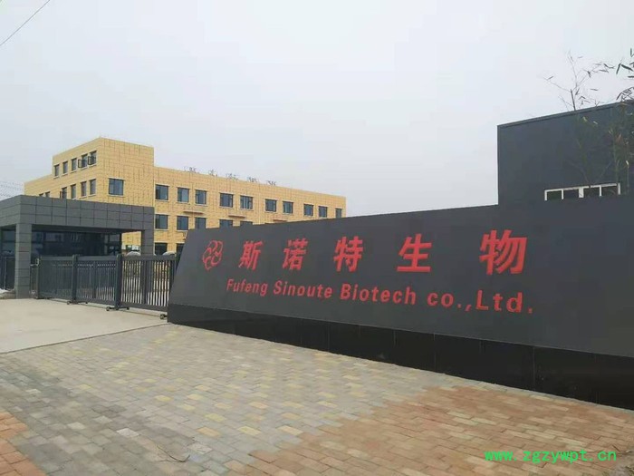 洋车前子壳粉   洋车前子壳原料粉   欢迎咨询图7