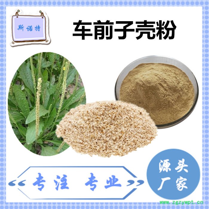 斯诺特 车前子壳粉 车前子壳速溶粉 厂家供应 包邮图5