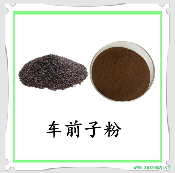 车前子粉 可定制 水溶 六盘韵 品质保障图7