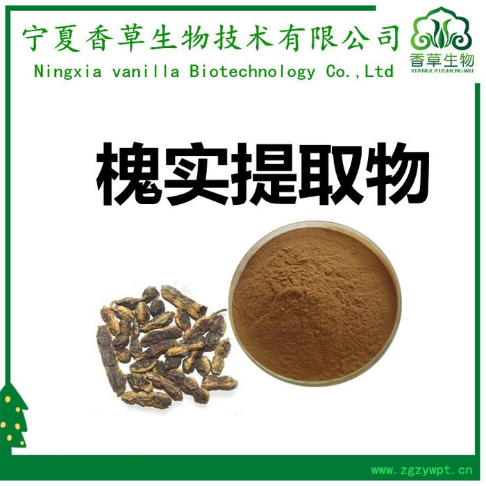 香草生物 槐实提取物比例提取 槐角甙98% 槐实粉 槐角提取物提取液图3