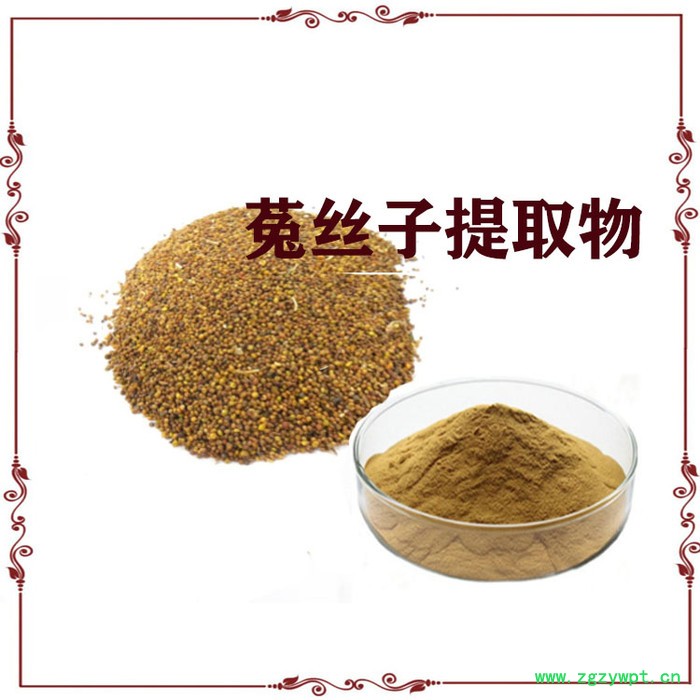 菟丝子提取物  10:1 菟丝子皂甙  菟丝子速溶粉图5