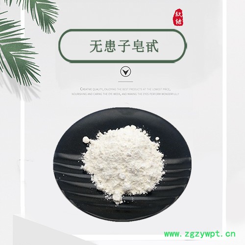 无患子皂甙/苷 70% 无患子粉 无患子提取物 现货包邮图5