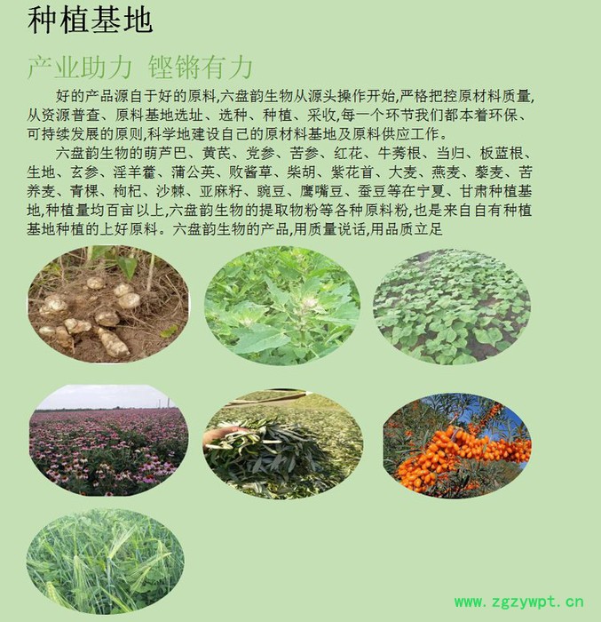 菟丝子提取物 六盘韵 水溶 可定制  品质保障图6