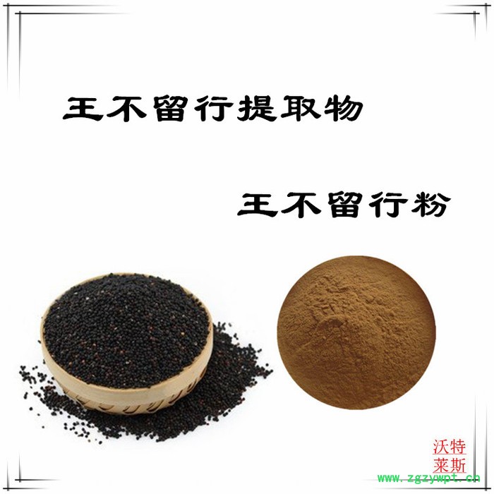 沃特莱斯 速溶王不留行粉98% 王不留行提取物10:1/20:1图2