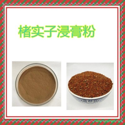 甘肃斯诺特 楮实子粉 食品原料  楮实子浸膏粉