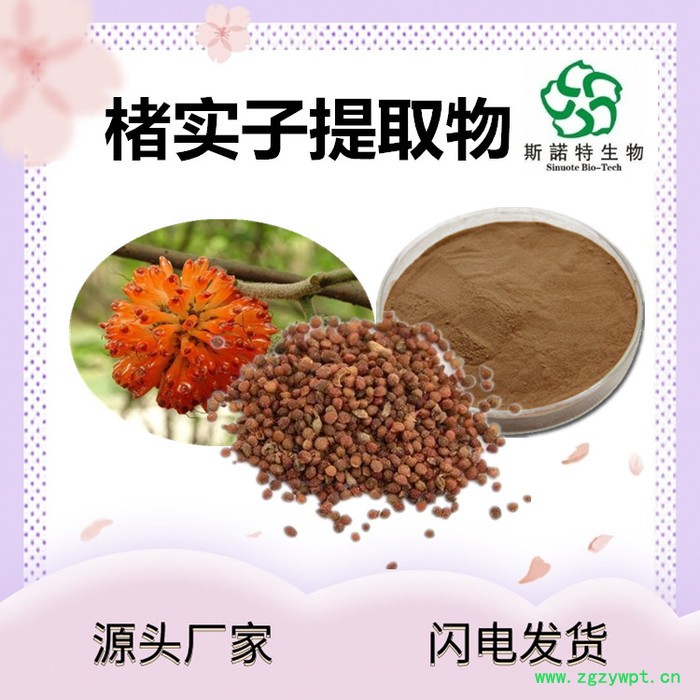 斯诺特 楮实子提取物 楮实子粉 厂家供应 包邮图7