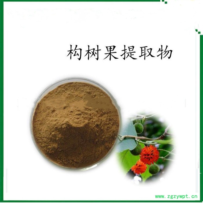 冬凌草萃取物 冬凌草提取物冬凌草甲素 斯诺特批发冬凌草萃取物图8