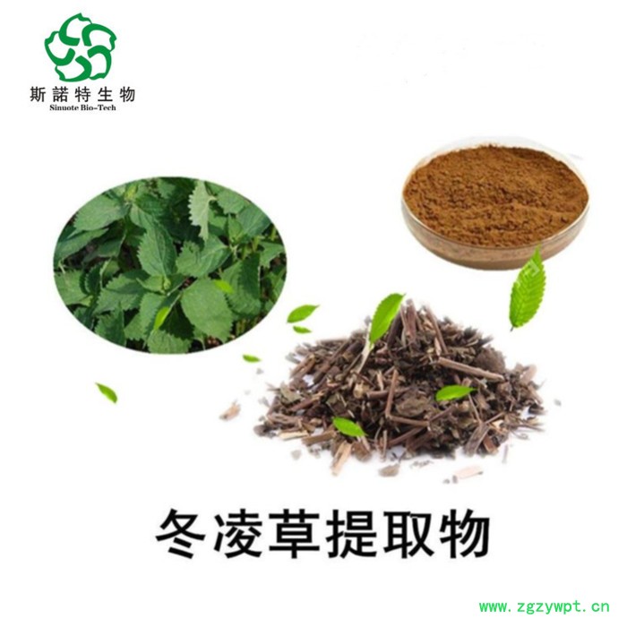 冬凌草萃取物 冬凌草提取物冬凌草甲素 斯诺特批发冬凌草萃取物图2