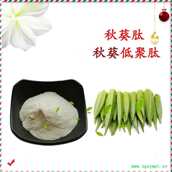 冬凌草萃取物 冬凌草提取物冬凌草甲素 斯诺特批发冬凌草萃取物图5