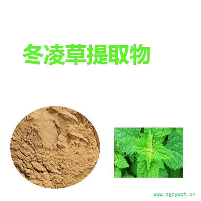 甘肃斯诺特 冬凌草提取物 量大从优 冬凌草粉 全水溶图4