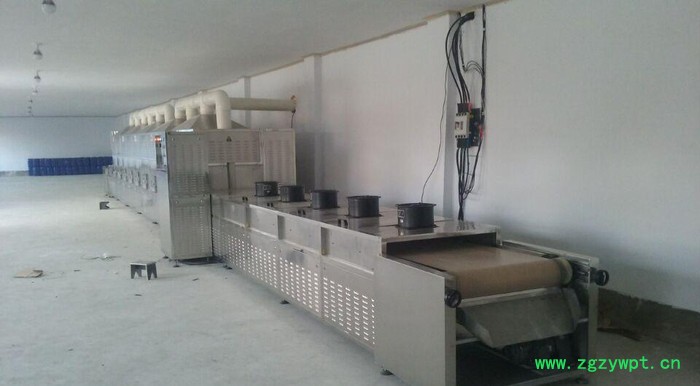 专业果脯微波烘干杀菌设备、陈皮微波烘干杀菌杀虫设备图3