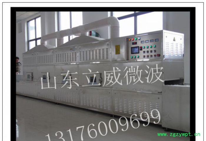 专业果脯微波烘干杀菌设备、陈皮微波烘干杀菌杀虫设备图2