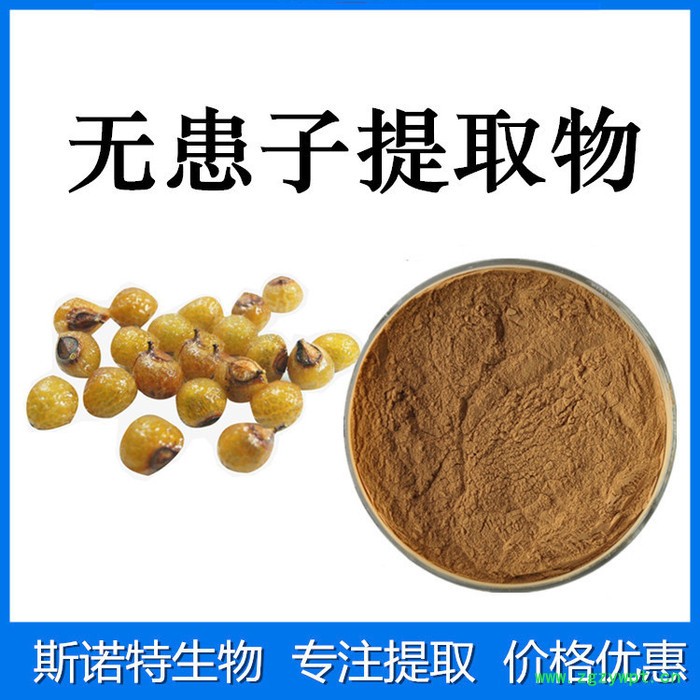 斯诺特生物 无患子提取物 无患子皂甙 生产厂家图7