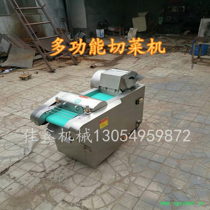 衡水香菇切丁机  陈皮切丝机  白萝卜加工切丁机视频图2