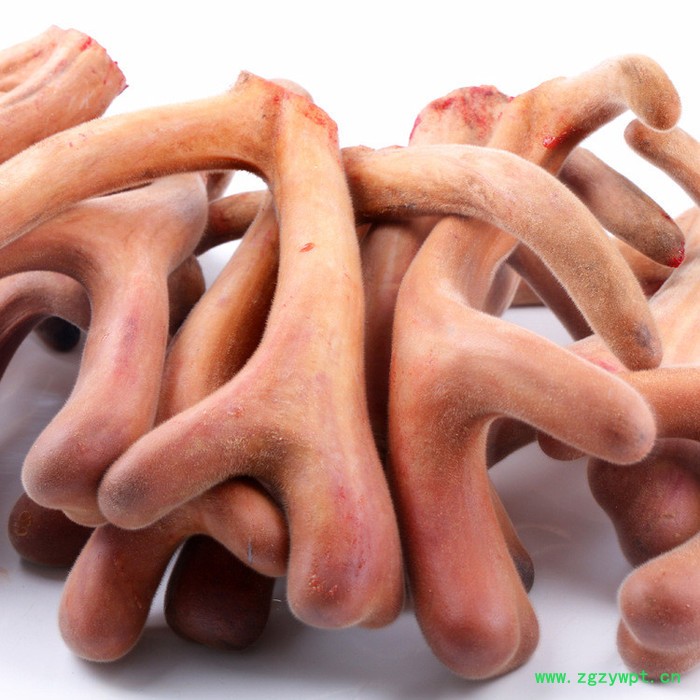 原支鹿茸片可切片陈皮鹿茸泡酒图2