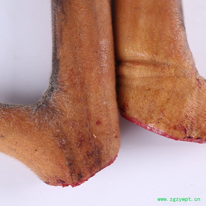 原支鹿茸片可切片陈皮鹿茸泡酒图3