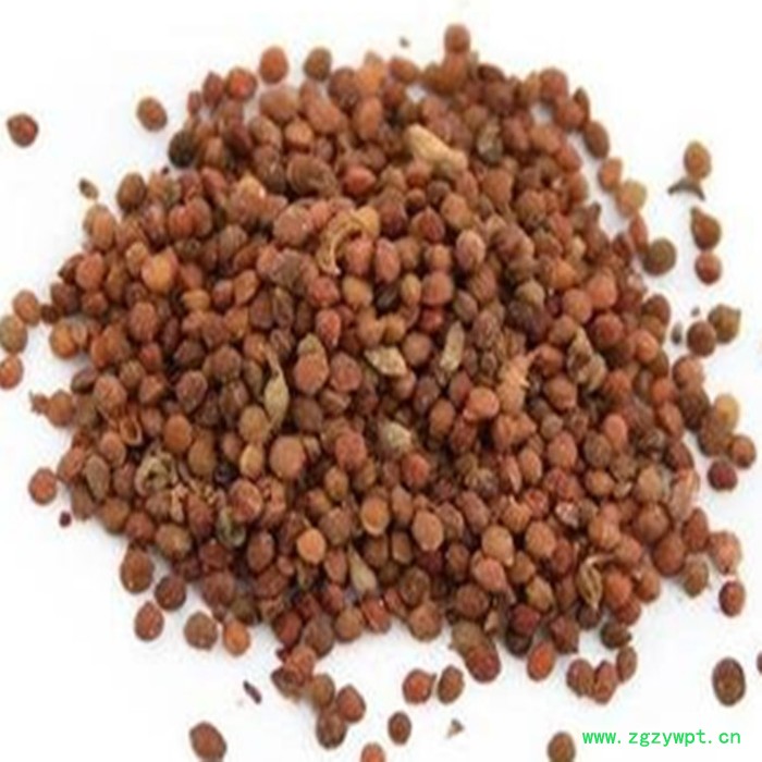 楮实子速溶粉 楮实子浓缩粉 生产厂家 斯诺特图6