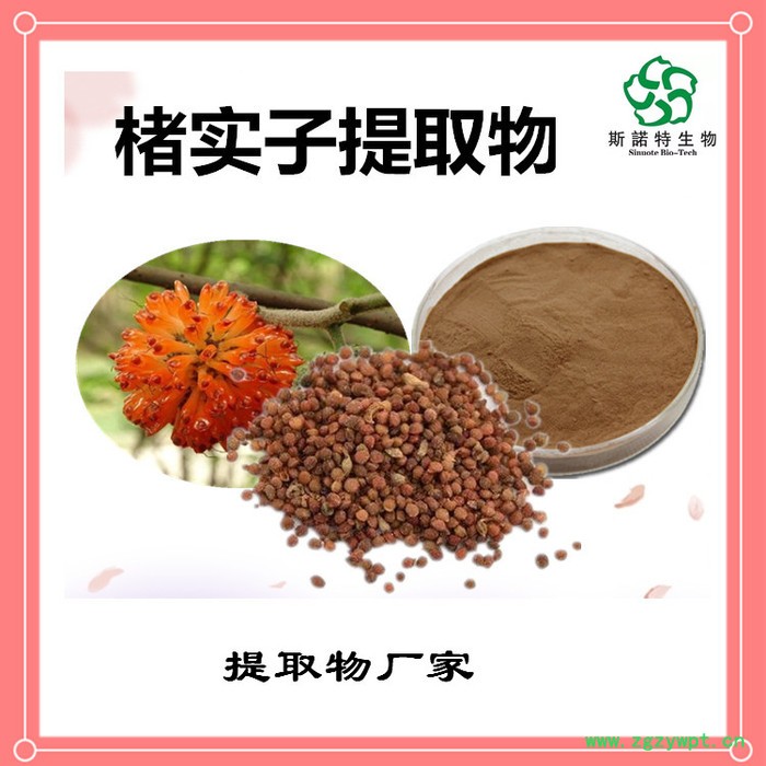 楮实子速溶粉 楮实子浓缩粉 生产厂家 斯诺特图4