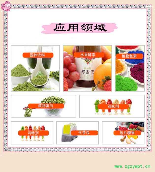 楮实子速溶粉 楮实子浓缩粉 生产厂家 斯诺特图2