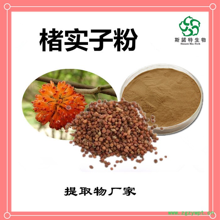 楮实子速溶粉 楮实子浓缩粉 生产厂家 斯诺特图3