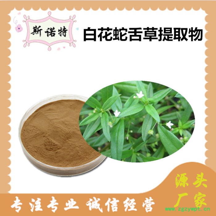斯诺特 白花蛇舌草提取物 白花蛇舌草粉 厂家供应 包邮图2