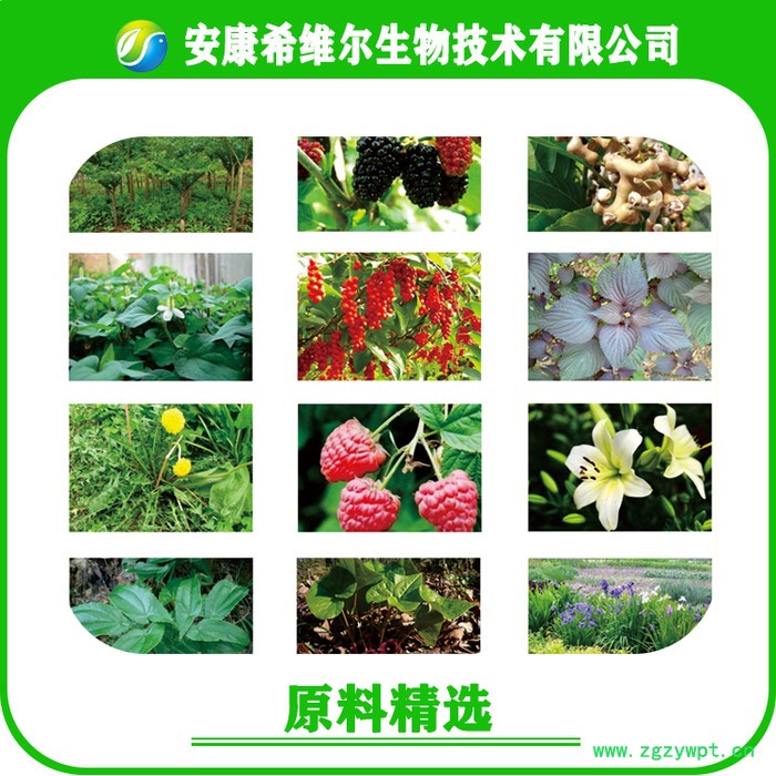 安康希维尔 淫羊藿提取物10% 淫羊藿甙图2