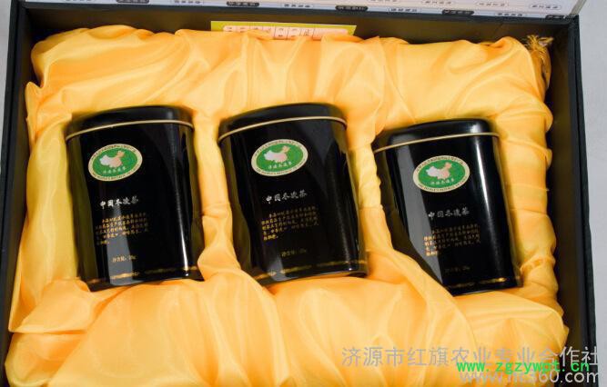 济世药业冬凌草草药茶礼盒装清热解毒保健养生茶清咽润喉茶叶图2