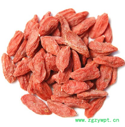 新疆特产枸杞子 养生食品 精河枸杞 物美价廉500g袋装 批发直销图2