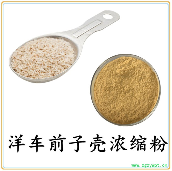 洋车前子壳提取物 六盘韵 水溶 可定制 品质保障图2