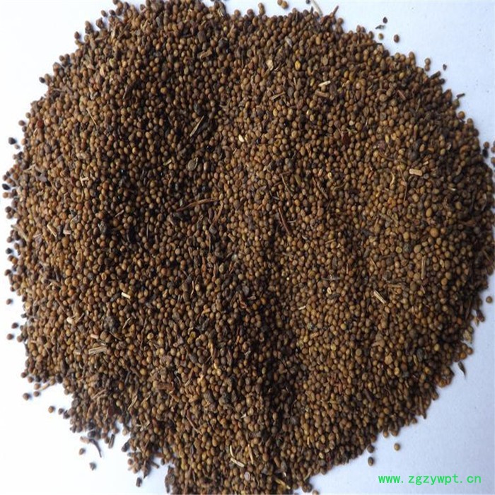 天杰 菟丝子烘干机 小型菟丝子烘干机 菟丝子烘干机设备 菟丝子烘干机厂家 菟丝子烘干机价格图4