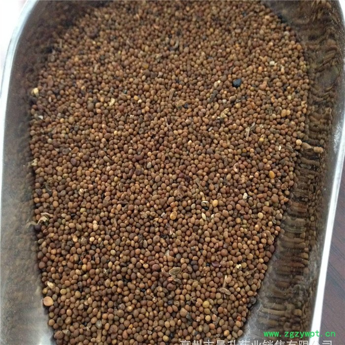 天杰 菟丝子烘干机 小型菟丝子烘干机 菟丝子烘干机设备 菟丝子烘干机厂家 菟丝子烘干机价格图3