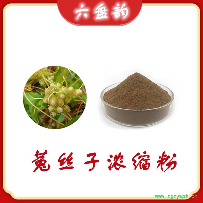 菟丝子浓缩粉 水溶 可定制 菟丝子提取物厂家 菟丝子多糖图3