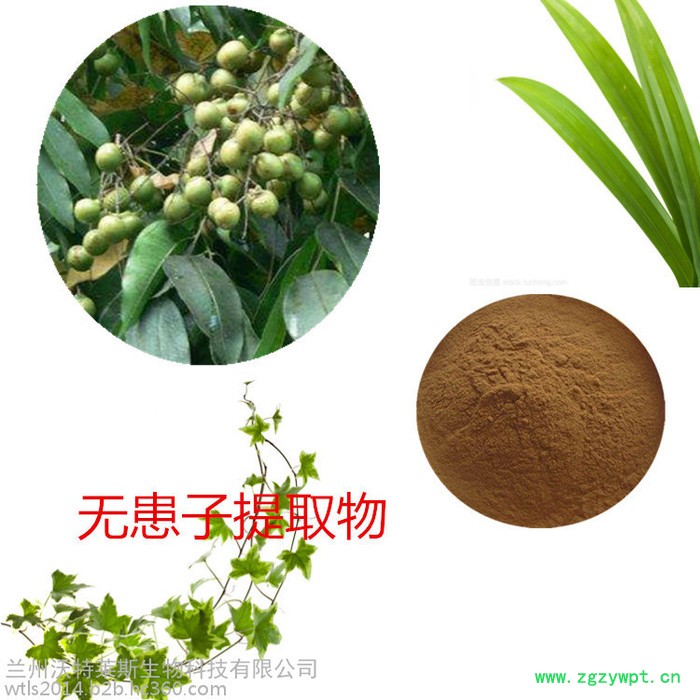 沃特莱斯 无患子提取物10:1  速溶无患子粉图6