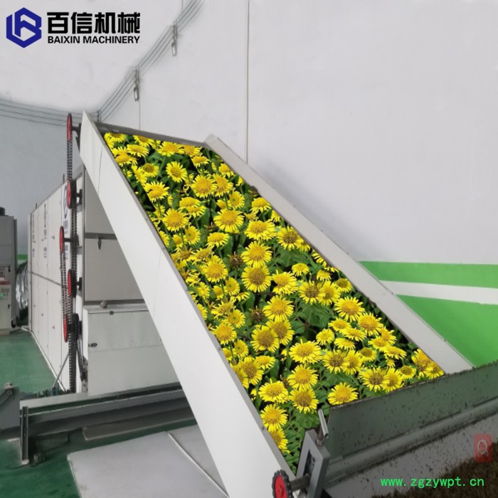 百信楮实子烘干机   楮实子脱水设备  楮实子干燥机    多层连续式网带楮实子烘干机图3