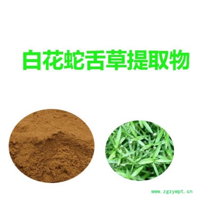 白花蛇舌草提取物 可水溶  白花蛇舌草粉
