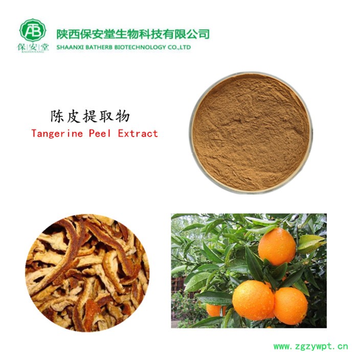 厂家现货陈皮提取物10:1陈皮粉可定制图3