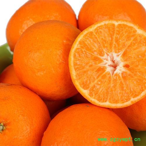 厂家现货陈皮提取物10:1陈皮粉可定制图4