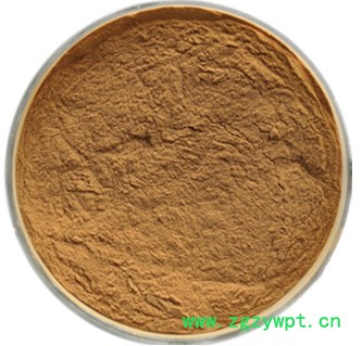 厂家现货陈皮提取物10:1陈皮粉可定制图2