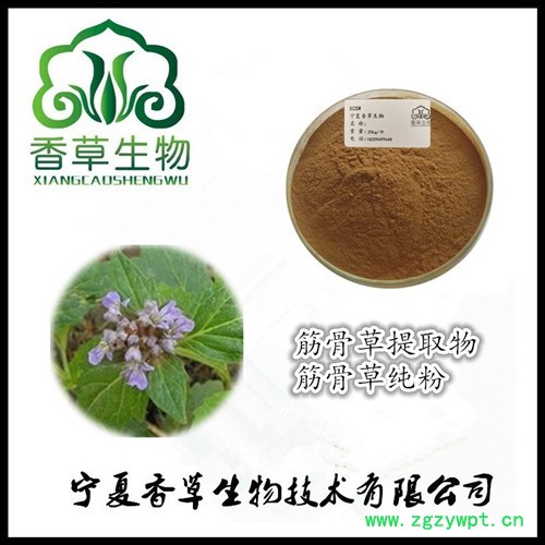 筋骨草提取物10:1 白毛夏枯草全粉 筋骨草浓缩液宁夏厂家图3