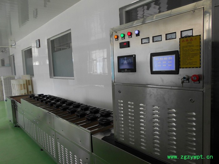 山东厂家设备    陈皮微波烘干设备 济南微波设备制造厂家图3