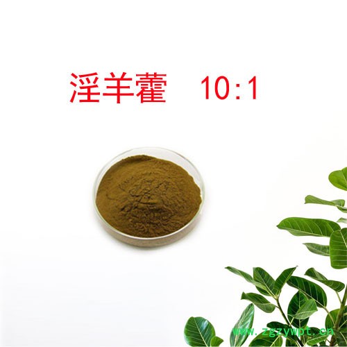 森杰生物  淫羊藿提取物 10:1  植物提取物图2