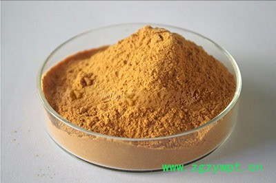 南箭  淫羊藿提取物 0% 比例比例10:1 原料  原料99% 现货供应图2