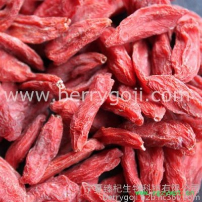 正宗宁夏出口品种枸杞子