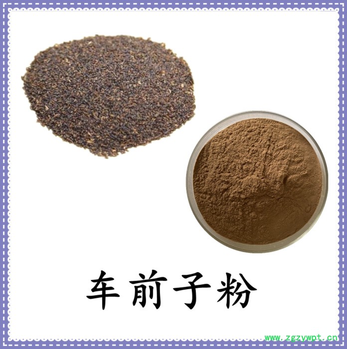 车前子提取物 六盘韵 水溶 可定制  品质保障图6